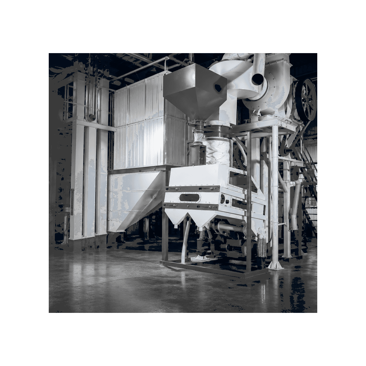 Grain Destoner Machine